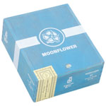 Crowned Heads Moonflower