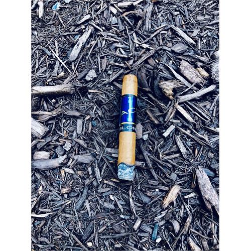 Acid Blue (Remi) Blondie 4  * 38