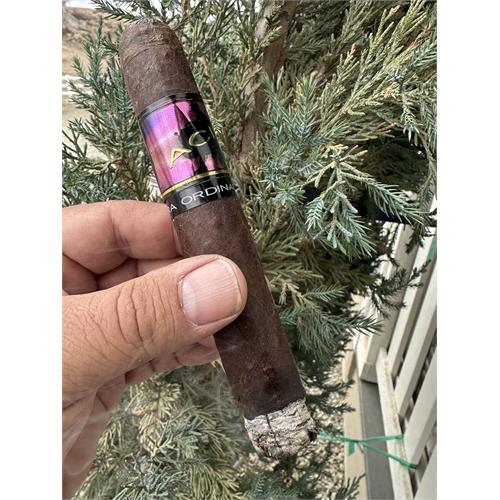 Acid Purple (Juggernaut) Extra Ordinary Larry 6  * 60