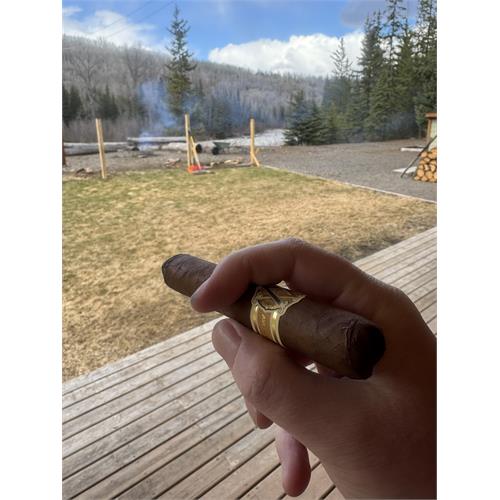 AVO Classic Robusto 5  * 50