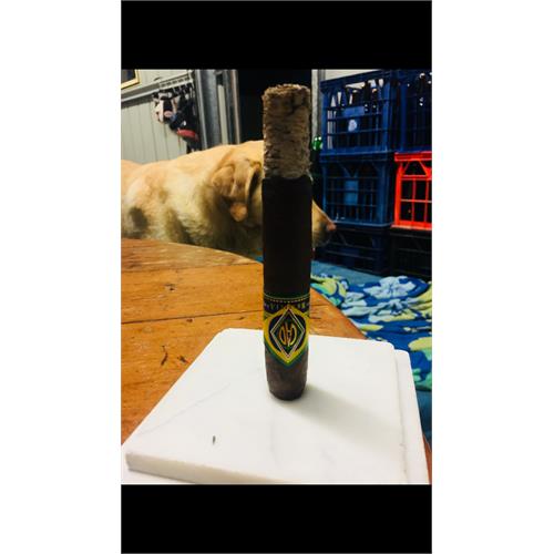 CAO Brazilia Samba 6 1/4 * 54