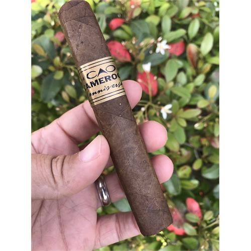 CAO Cameroon Robusto 5  * 50