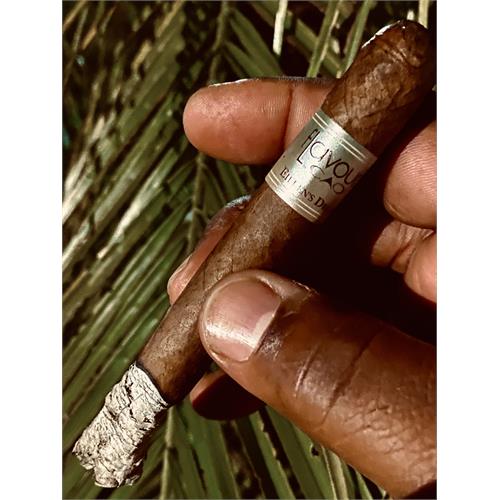 CAO Flavours Eileen s Dream Corona 5 1/4 * 42 