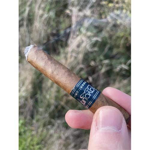 CAO Flavours Moontrance Petit Corona 4  * 40 