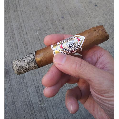 CAO Gold Label Robusto 5  * 50