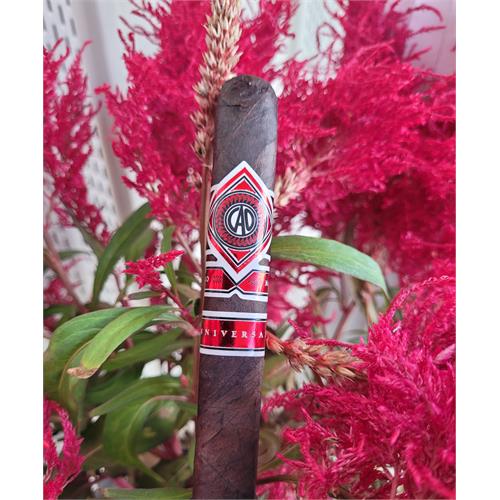 CAO Maduro Belicoso 6  * 54