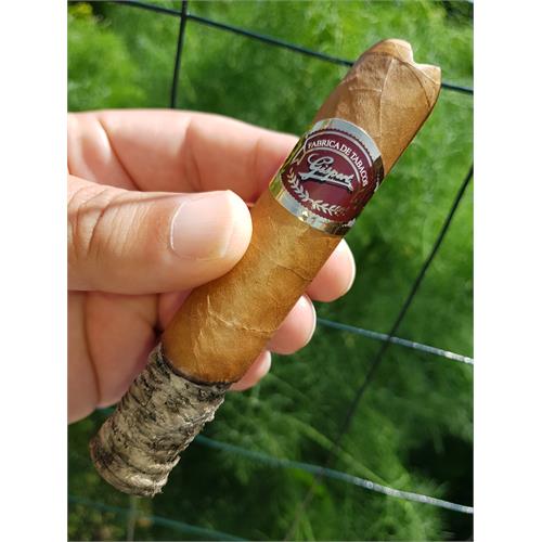 Gispert Robusto 5  * 54