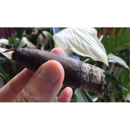 La Vieja Habana Brazilian Maduro Gordito Rico 6  * 60