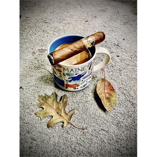 La Vieja Habana Cuban Corojo Gordito Rico 6  * 60