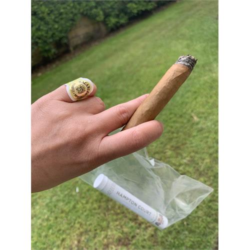 Macanudo Cafe Hampton Court 5 1/2 * 42