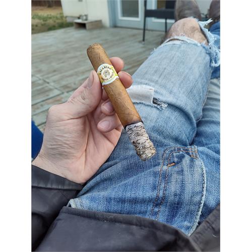 Macanudo Cafe Hyde Park 5 1/2 * 49