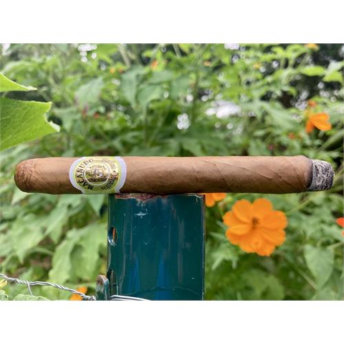 Macanudo Cafe Petit Corona 5  * 38