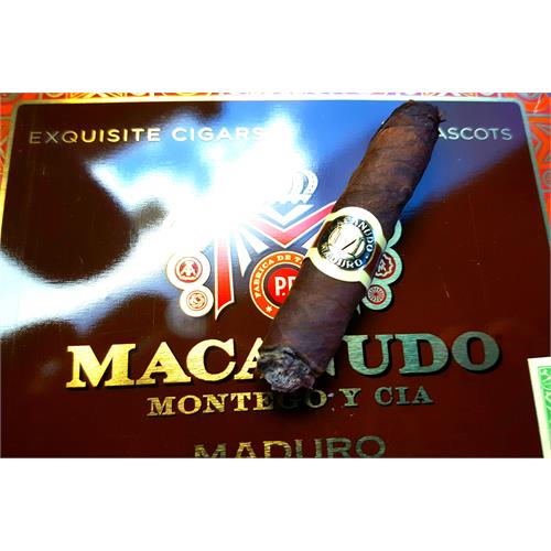 Macanudo Maduro Ascots 4 3/16 * 32