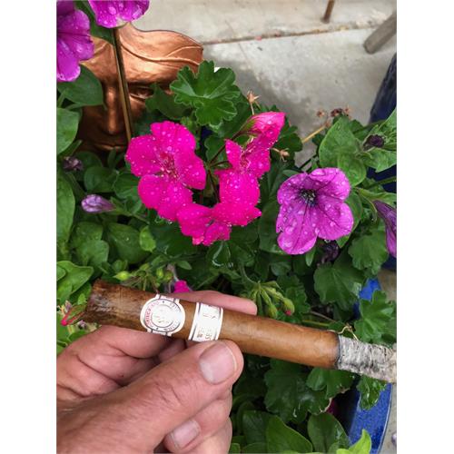 Montecristo White Churchill 7  * 54