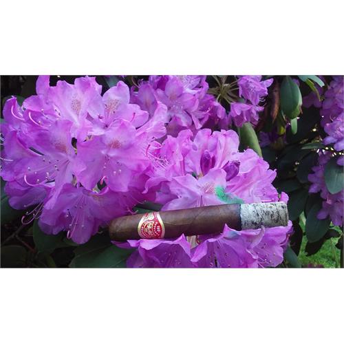 Partagas Natural 5 1/2 * 50