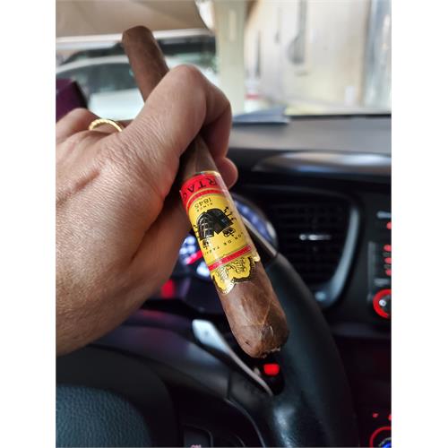 Partagas Natural No. 10 7 1/2 * 49