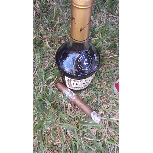 Perdomo Lot 23 Toro 6  * 50