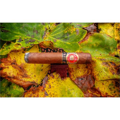 Punch Gran Puro Rancho 5 1/2 * 54