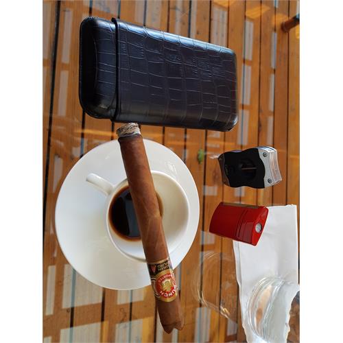 Punch Gran Puro Sierra 6 1/2 * 48