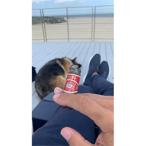 Romeo y Julieta 1875 Bully 5  * 50