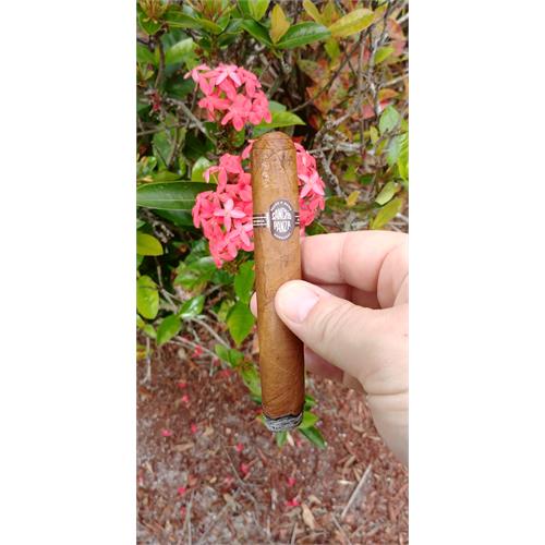 Sancho Panza Valiente 5 1/4 * 50