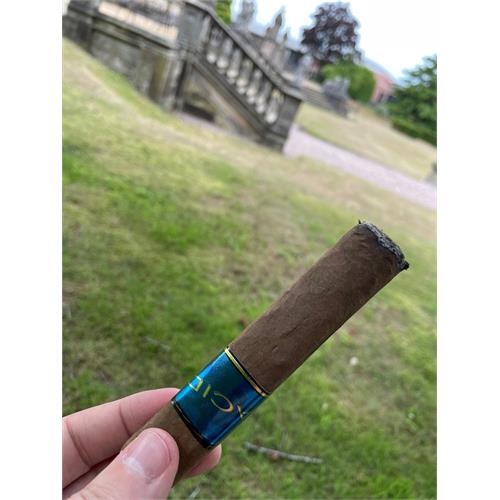 Acid Blue (Remi) Deep Dish 5  * 58