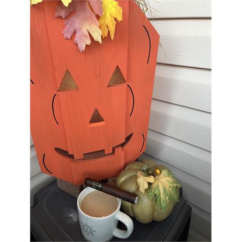 Partagas Black Label Crystal 5 1/2 * 50