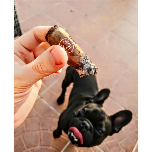 Padron Series 3000 Natural 5 1/2 * 52