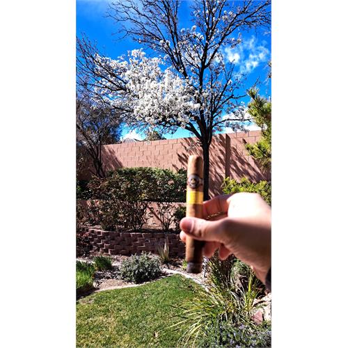 Montecristo Classic Toro 6  * 52