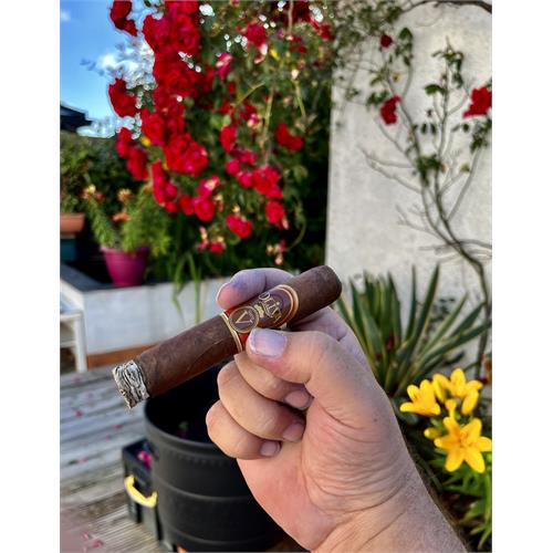 Oliva Serie V Double Robusto 5  * 54
