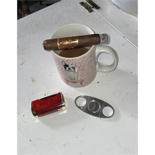 Oliva Serie V Double Robusto 5  * 54