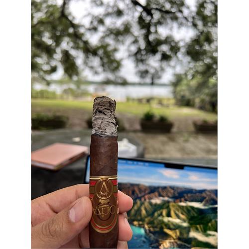 Oliva Serie V Torpedo 6  * 56