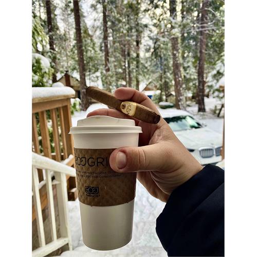 Oliva Serie G Torpedo 6 1/2 * 52