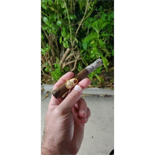 Oliva Serie G Toro 6  * 50