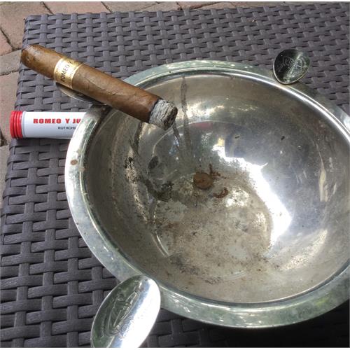 Romeo y Julieta 1875 Rothchilde en Tubo 5  * 50