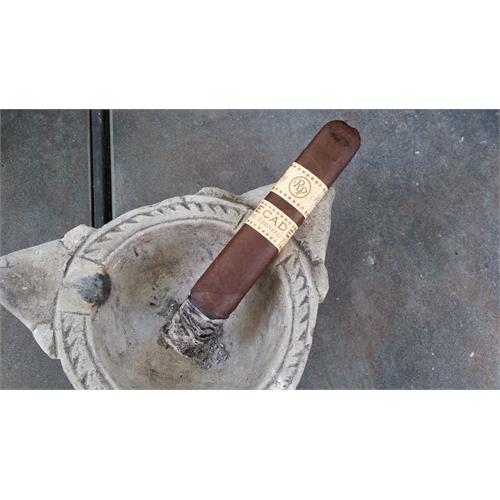Rocky Patel Decade Robusto 5  * 50
