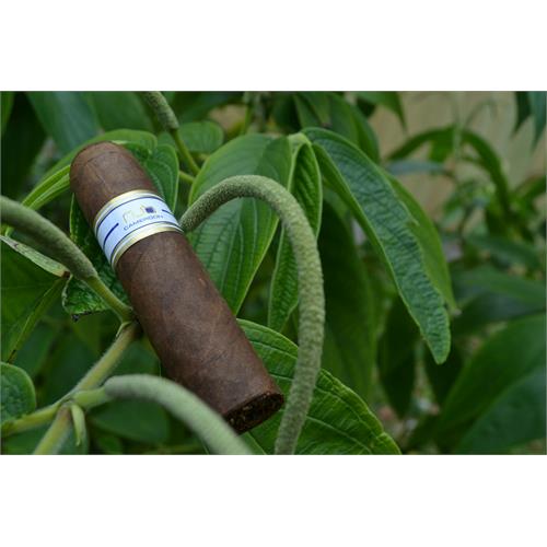 NUb Cameroon 460 4  * 60