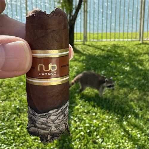 NUb Habano 460 4  * 60
