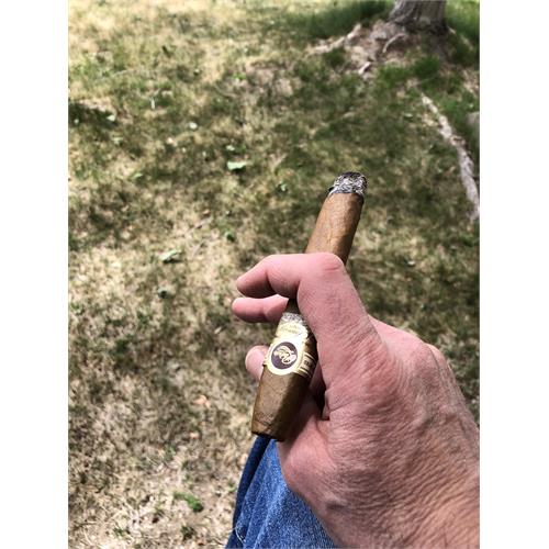 Padron 1964 Anniversary Torpedo Natural 6  * 52