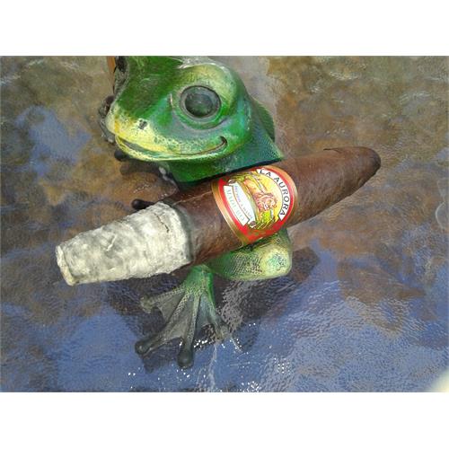 La Aurora Preferidos Maduro Ruby Tubes 5  * 54