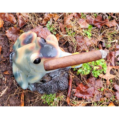 Cain Maduro 550 5 3/4 * 50