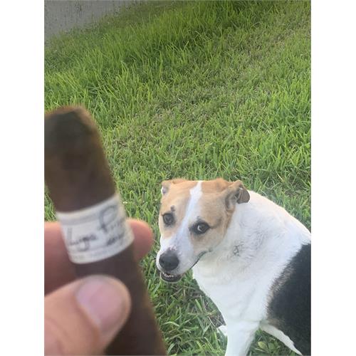 Liga Privada No. 9 Robusto 5  * 54