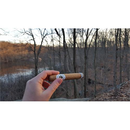 Ashton Classic Magnum 5  * 50