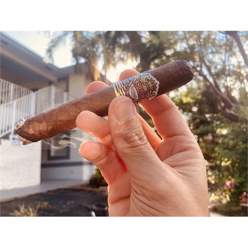 Ashton Heritage Puro Sol Robusto 5 1/2 * 50