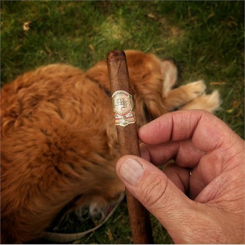 My Father No. 4 Lancero 7 1/2 * 38