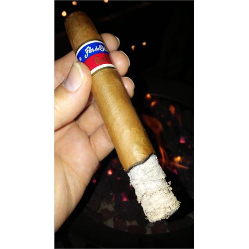 Flor de Oliva Gold Torpedo 6 1/2 * 52