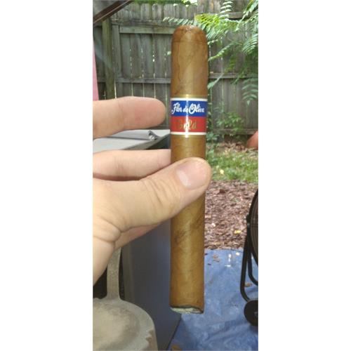 Flor de Oliva Gold Toro 6  * 50