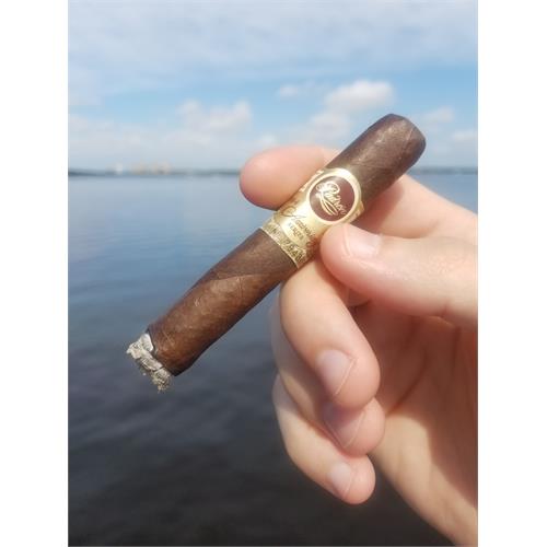 Padron 1964 Anniversary Diplomatico Maduro 7  * 50