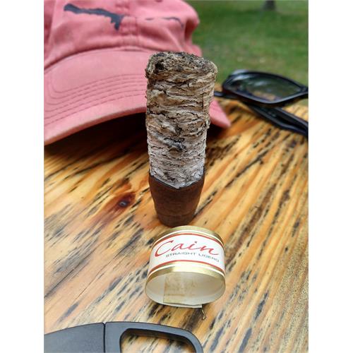 Cain Nub Maduro 460 4  * 60