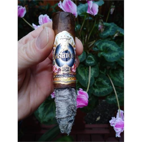 Ashton ESG 23-Year Salute 6 1/4 * 52